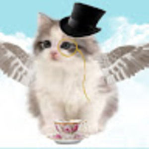 Meet your Posher, Kaitlyn